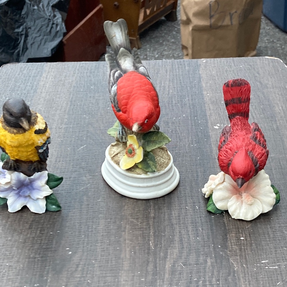 Bird Collection Evening Grosbeak Finch, Napcoware Cardinale Tangier, Red Bird